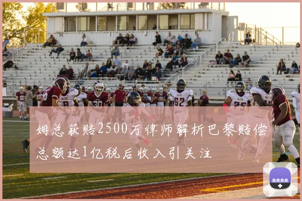 姆总获赔2500万律师解析巴黎赔偿总额达1亿税后收入引关注