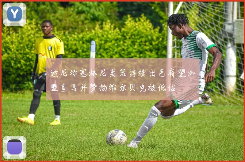 迪尼称塞梅尼奥若持续出色有望加盟皇马并赞扬维尔贝克被低估