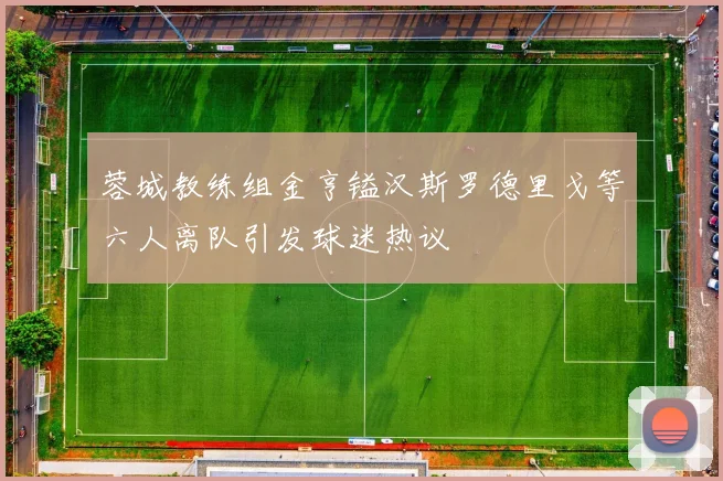 蓉城教练组金亨镒汉斯罗德里戈等六人离队引发球迷热议
